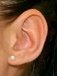 ear 1.jpg ear 1.jpg