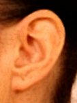 ear 2.jpg