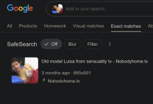 Luisa - Screenshot at Google Search.png
