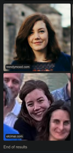Screenshot Pamela (_) PimEyes.png