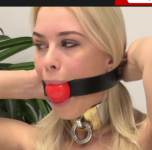 Screenshot_6.png Screenshot_6.png