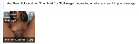 Thumbnail or full image.jpeg