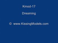 SpankBang.com_kissingmodels+17+shannon+and+ginger_480p_20251222073450.jpg